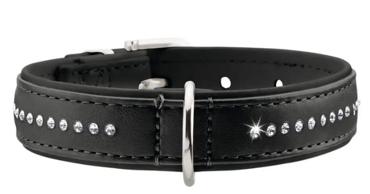 czarna obroża hunter smart z kryształkami (20 - 24cm) + etui na woreczki